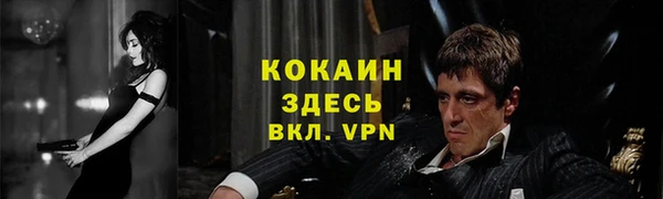 стаф Алзамай