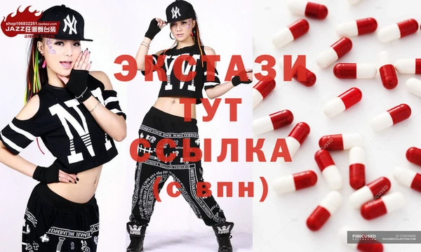 стаф Алзамай