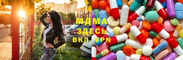 стаф Алзамай