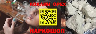 тгк Славгород