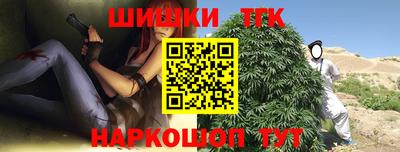 тгк Славгород