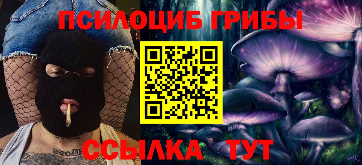 где купить наркоту  Вход с VPN  Старая Купавна  Галлюциногенные грибы MAGIC MUSHROOMS  Псилоцибиновые грибы Psilocybine cubensis 