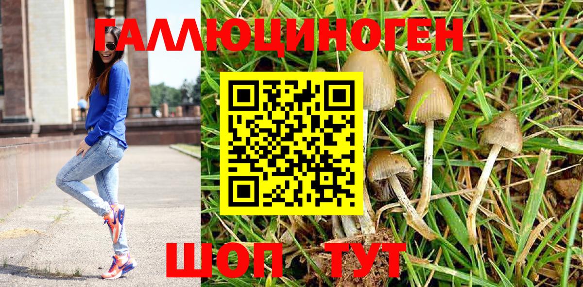 Галлюциногенные грибы мицелий Старая Купавна